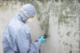 Best Biohazard Mold Removal  in Alameda, CA